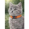 Flamingo collare gatto - gattino Elza arancione 15-22 cm - nylon elastico riflettente con campanellino