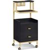 Barberpub Carrello per parrucchieri con ruote e 2 cassetti, carrello di servizio, carrello da salone con 2 ripiani e porta asciugacapelli, carrello da lavoro moderno, 32x37x87cm, 0029 (Nero-oro)