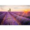 MISITU Puzzle 1000 pezzi per adulti lavanda puzzle 1000 per bambini dai 14 anni in su