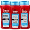Intesa Pour Homme Shampoo Antiforfora Fresh Uomo 300 ml - Azione Purificante con Zinco e Mineral Complex - Rinfrescante, Uso Quotidiano, Contro la Forfora (3)