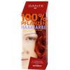 Sante Naturkosmetik polvere colore dei capelli a base di erbe 100g rossi naturali, 1er Pack (1 x 100g)