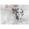 WallArena - Carta da parati fotografica - Donna 400x280 cm - Murale fotografico - Per soggiorno e camera da letto - Effetto 3D - con Colla - Astratto Grigio Oro Glamour