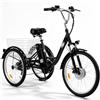 Pudari Triciclo elettrico da carico M300, batteria rimovibile da 36 V e 22,5 Ah