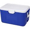 PETSOLA Portable Ghiacciaia Portatile, 30L, style to 3