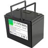 WSDAV Batteria al Litio Ferro fosfato da 12 V Batteria da 12 V