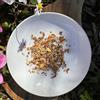 Tea Soul | Tisana Biologica Vata in Bustine Piramidali 30g - Cannella, Zenzero, Finocchio, Limone, Liquirizia e Cardamomo - Ideale per Infusioni - Prodotto Biologico