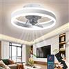 Wildcat Ventilatore da Soffitto con Luce, Moderno Indoor LED Dimmable Ventilatori da Soffitto con Telecomando, Smart 3 Light Color Change e 6 Velocità Della Ventola