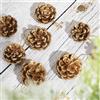 DAHI Pigne per decorazione albero di Natale da appendere all'albero di Natale, palline di pino ornamenti natalizi (oro)