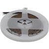 Parama Striscia LED COB RGBW 24V 5m tagliabile ogni 3,1cm 20W/m luce naturale 4000K IP20