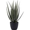 Pianta Artificiale Aloe Chic con Vaso H 70 cm Verde - EDG Enzo De Gasperi