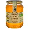 Apicoltura Colle Salera Miele biologico di Stregonia - Italiano non Pastorizzato | Apicoltura Colle Salera (1000 gr)