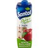 Generico Santal Dolce Natura Succo Naturale Mela Senza Zuccheri Aggiunti, 1L, Confezione da 12 Brick