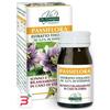 VIS GIORGINI SER-VIS PASSIFLORA ESTRATTO TITOLATO 60 PASTIGLIE