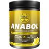 GOLD NUTRITION Anabol 300 g Limone