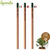 TuoGadget "Matite con semi Plant"