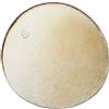 Pelle universale per timpano, pelle etnica resistente