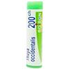 BOIRON GLOBULI Boiron Thuya Occidentalis Globuli 200Ch Dose 1G Omeopatia