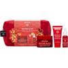 Apivita Promo Xmas Beevine Rich + Mini Serum + Night