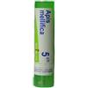 BOIRON GRANULI Laboratoires Boiron Srl Apis Mellifica 5Ch Granuli 4 G Omeopatia