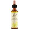 SCHWABE PHARMA ITALIA Schwabe Bach Original White Chestnut Fiori Di Bach 20 Ml