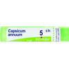 Boiron Capsicum Annuum 05Ch Tubo 80 Granuli 4G
