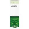ERBA VITA CANFORA Erba Vita Olio Essenziale Canfora Effetto Balsamico Uso Esterno 10 Ml Essenze