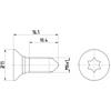 TEXTAR Bullone, Disco freno TEXTAR TPM0008