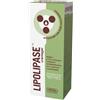 Amnol Lipolipase cremagel 150 ml