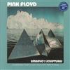 Pink Floyd - Embryo's Sculptures - Vinile