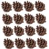 POPETPOP 30 Pezzi di Pigne Naturali 5-7 CM per Decorazioni Natalizie e Artigianato Fai da Te Ornamenti per Albero di Natale Accessori per Feste e Addobbi Interni ed Esterni