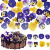 Celblisora 40 Pezzi 8 Tipi di Fiori Naturali Essiccati e Pressati Commestibili per Decorazioni di Torte - Mix di Viola Tricolore per Cocktail e Artigianato Fai-da-Te