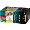 Sheba Délices du Jour in salsa Multipack 50x50 gr Selezione Delicata - 1° ORDINE? 20% di sconto SU BRAND ESCLUSIVI, codice BZR20