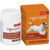 Candioli Farmaceutici Candioli Pharma Vigorpet Cani Supporto vitaminico Compresse 20 compresse - Integratori per cani - 1° ORDINE? 20% di sconto SU BRAND ESCLUSIVI, codice BZR20