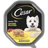 Cesar Senior 10+ in gelatina 150gr Pollo e riso - confezione da 14 pezzi - Cibo umido per cani - 1° ORDINE? 20% di sconto SU BRAND ESCLUSIVI, codice BZR20