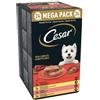 Cesar Dog Terrine Grain Free multipack 24x150 gr 8x Pollo 8x Manzo 8x Agnello 8x Tacchino - 1° ORDINE? 20% di sconto SU BRAND ESCLUSIVI, codice BZR20