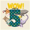 Lucy Tapper WOW! You're Five birthday book (Tascabile)