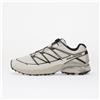 Salomon Sneakers Salomon XT-Pathway 2 White/ Black/ Ftw Silver