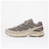 Salomon Sneakers Salomon XT-Pathway 2 Gull/ Ftw Silver/ Lilaca