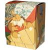 Pokemon Center Custodia Original Deck Eevee In Sonno Sleeping Giappone Ufficiale