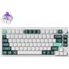 Keychron Q1 HE Tastiera Meccanica Senza fili con Hall Effect Gateron Double-Rail Magnetic Switch Nebula, Rapid Trigger, QMK 2,4 GHz Bluetooth RGB Compatibile con Mac Windows Linux - Bianco