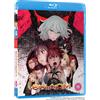 Anime Limited EX-ARM: Complete Series (Blu-ray)
