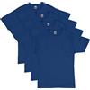 Hanes Men's Shirt