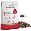 Platinum Vetactive Hypoallergenic Iberico - Crocchette Cani, 5 kg