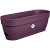 Elho vibia campana trough 50cm fioriera - Porpora Acero | Lungh. 18.2 x Largh. 49 x Alt. 17 cm | Sottovaso integrato