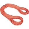 Mammut 9.8 Crag Classic Rope corda arrampicata