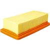 vhbw Filtro a pieghe piatte compatibile con Kärcher AD 3.200, AD 3.000, AD3, AD 3 Premium Fireplace, AD4, AD 4 Premium aspirapolvere a secco