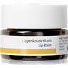 Dr. Hauschka Eye And Lip Care 4.5 ml
