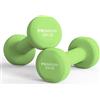 PROIRON Pesi Palestra in Casa Fitness e Palestra Manubri Pesi Manubrio (Set di 2) 1-10kg