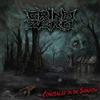 Grind Zero Concealed in the Shadow (CD) Album