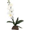 Lucky Reptile Scape it Easy - Orchidea Piccola Bianca, ca. 35 cm - Pianta Decorativa per terrari
